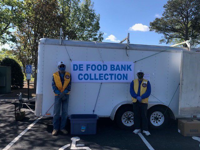 Lions food collection (copy)